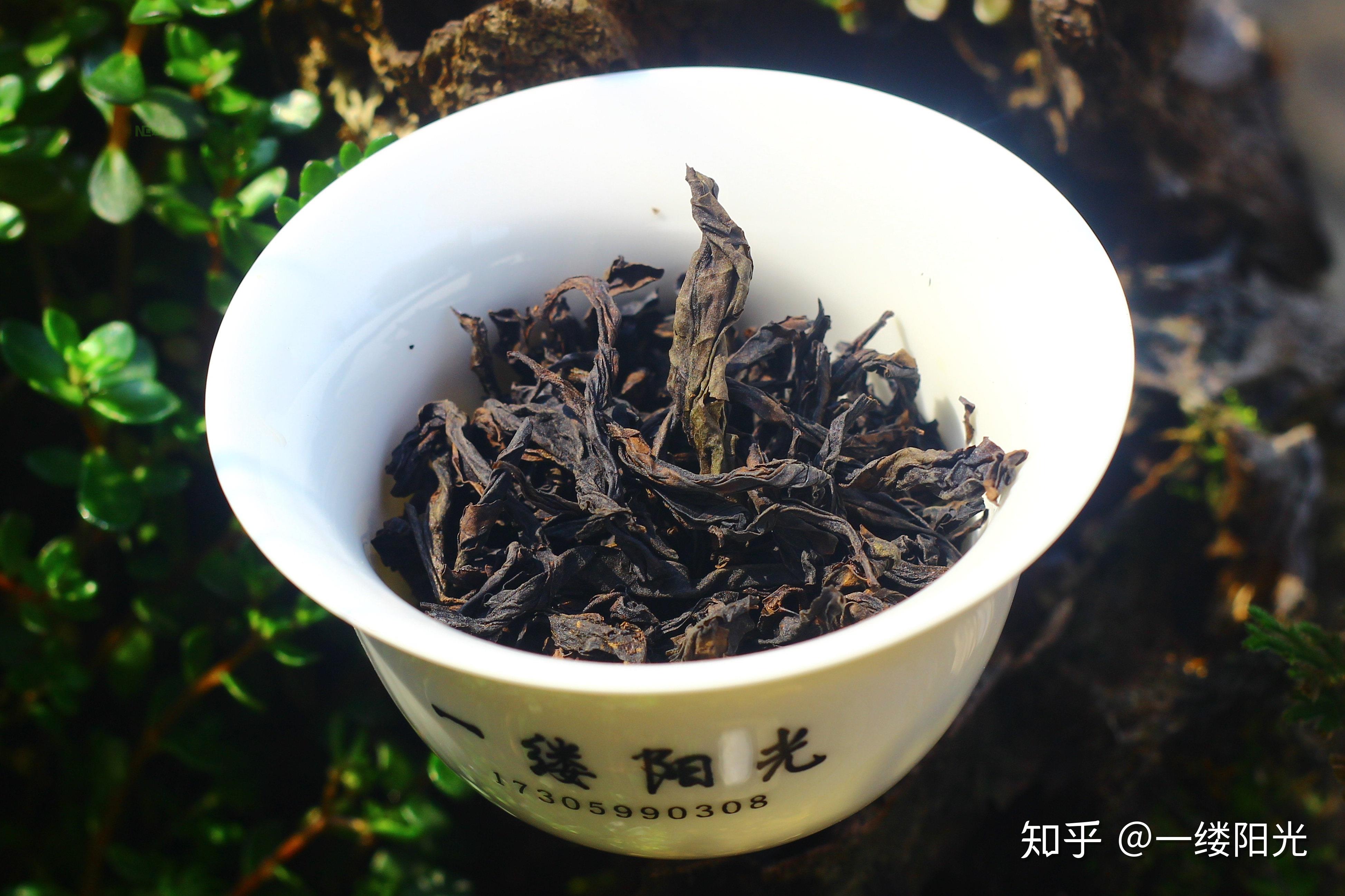 云南有什么著名茶叶？
