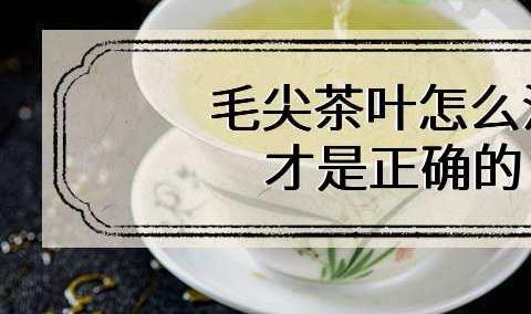 竹叶青茶能放进冰箱冷藏吗 竹叶青茶的保质期是多久