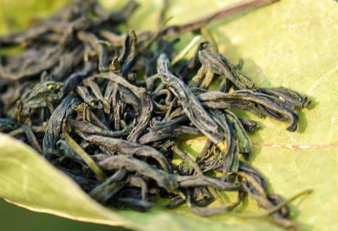 茶知识之关于茶叶品质变化的原因