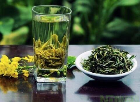 绿茶和菊花能一起泡吗 可以，但不能过量喝