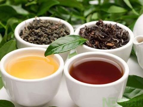 有趣的佐茶法 盐腌菜是什么茶