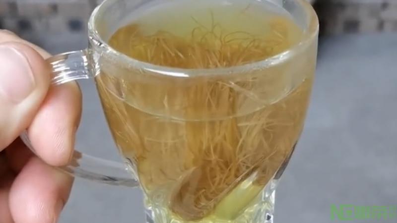 玉米须茶可以冷泡吗？