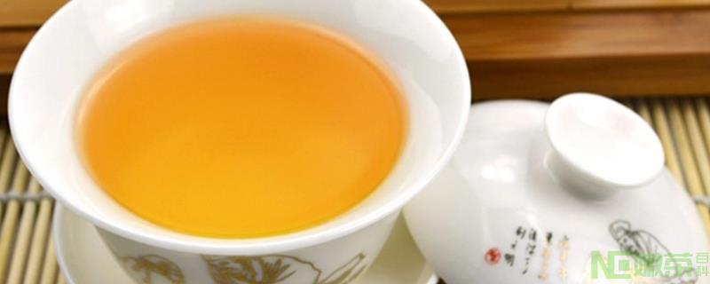 四季青茶怎么泡？