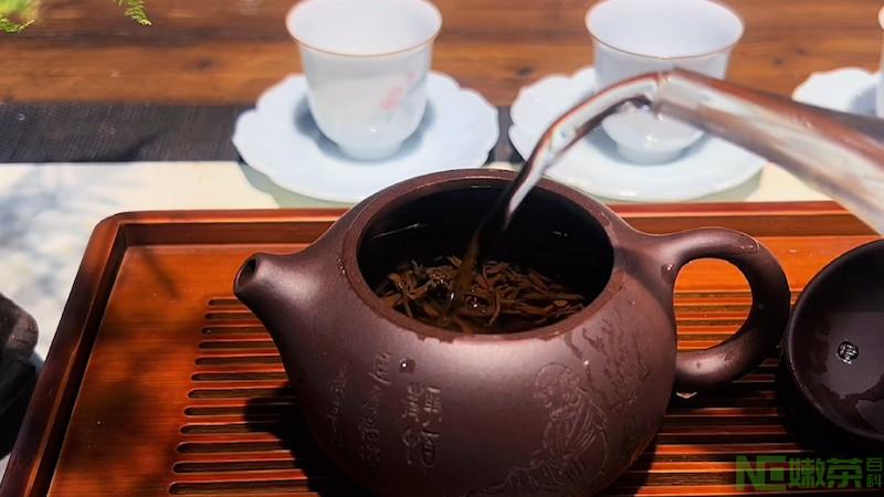 全发酵茶有哪些品种？