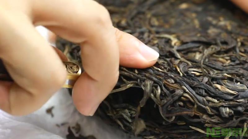 白莺山古树茶的特点是什么？
