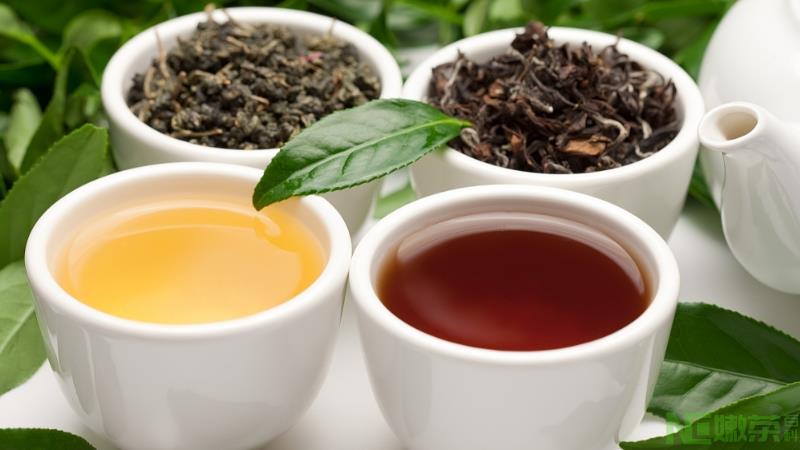 绿茶和乌龙茶的区别？