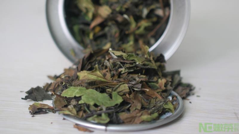 寿眉茶属于什么茶？