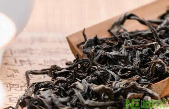 大红袍属于什么茶种是红茶还是绿茶？