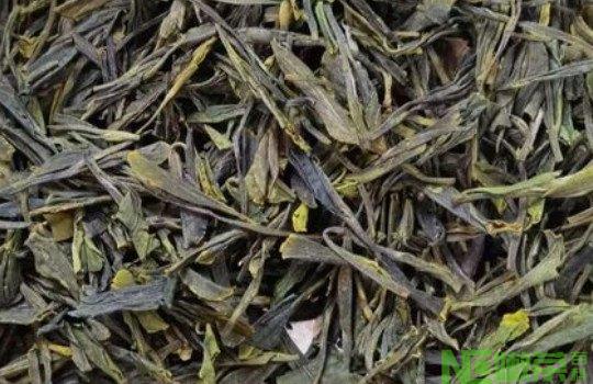 崂山绿茶在中国属于什么档次？