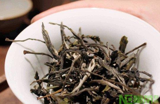 古树茶的特点和功效是什么？