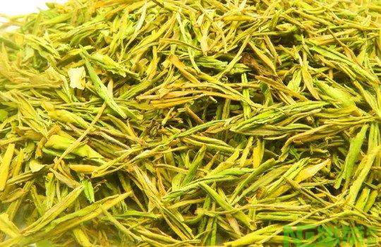 黄金芽茶叶多少钱一斤？