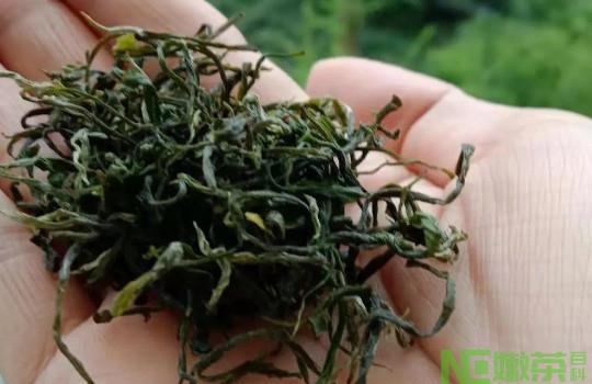霄坑绿茶是野生的？