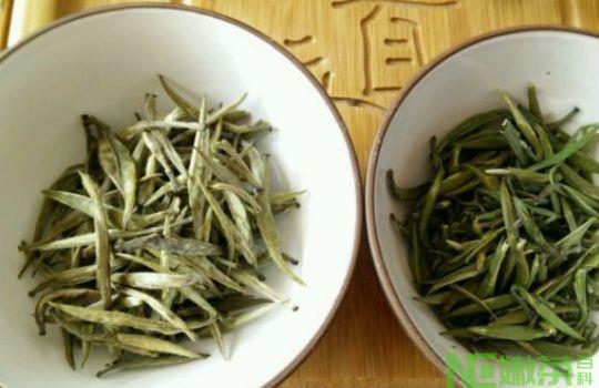 黄茶与绿茶的区别是什么？