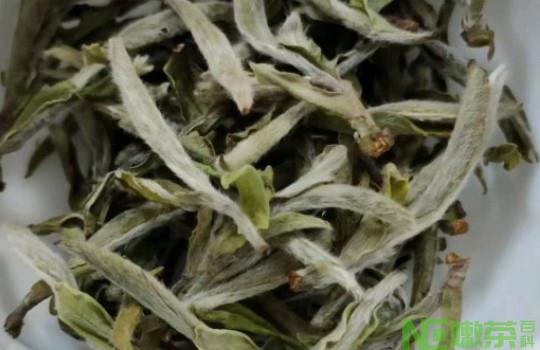 荒野牡丹茶多少钱一斤？