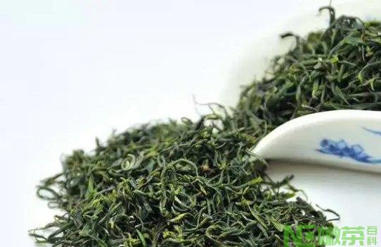 绿茶是什么？