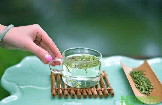 哪些人不适合喝绿茶？