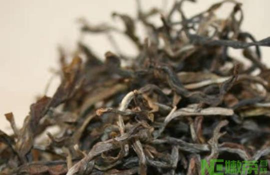 古树普洱茶多少钱一斤？