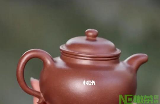 底槽清紫砂壶适合泡什么茶？