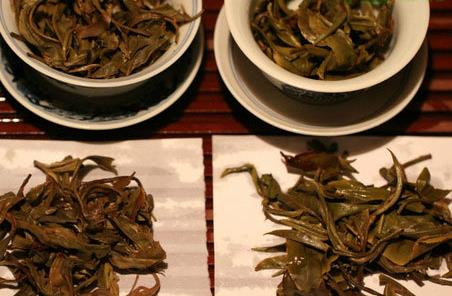 山野茶、台地茶与老树茶的区别是什么？
