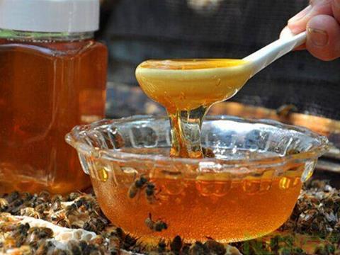 茶叶水和蜂蜜一起喝可以治小儿咳嗽吗？