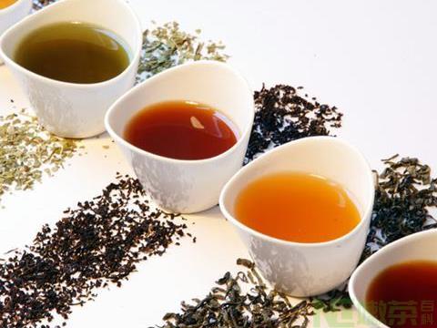 哪种茶叶的提神效果最好，为什么？
