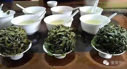 冲茶时茶叶和水应放多少才算最好？