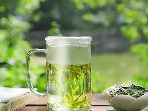 冲泡绿茶的水温应该是多少度